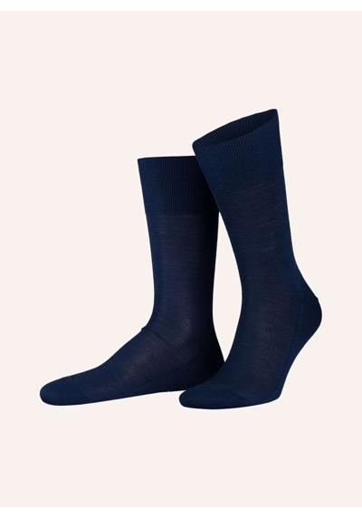 6000 royal blue