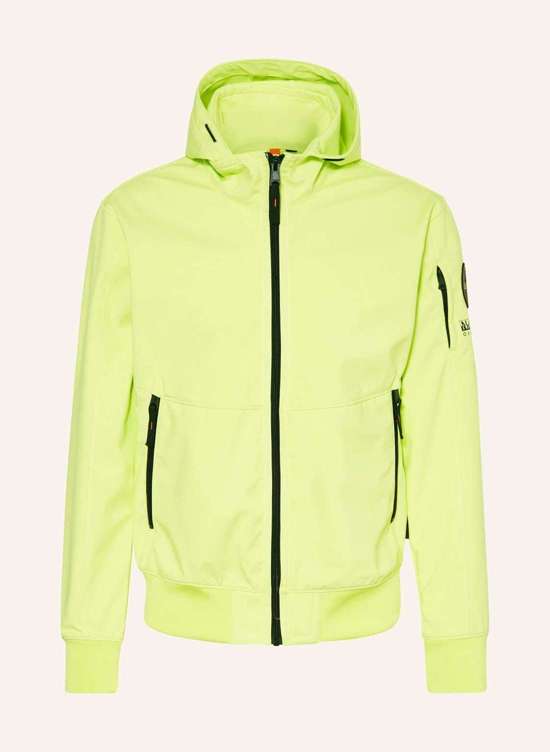 неоновый желтый