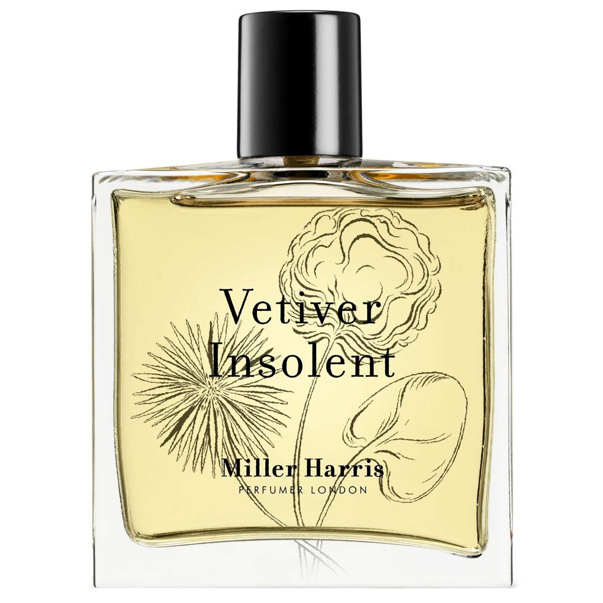 Парфюмированная вода Vetiver Insolent