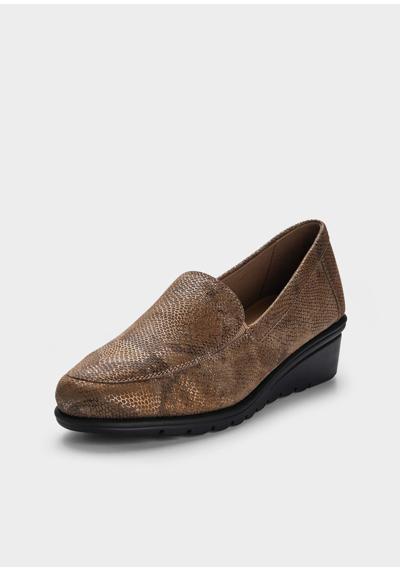 taupe / reptil