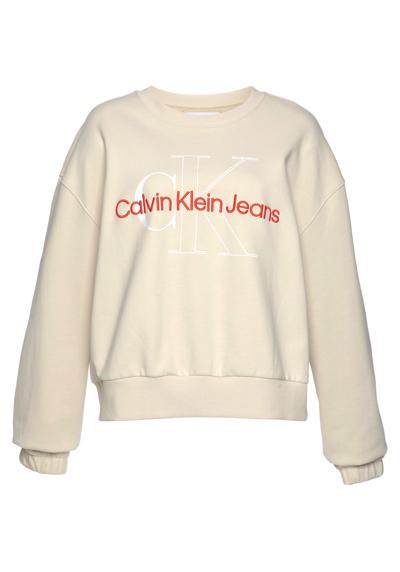Толстовка PLUS TWO TONE MONOGRAM CREW NECK с монограммой логотипа Calvin Klein в тон и цветными буквами логотипа