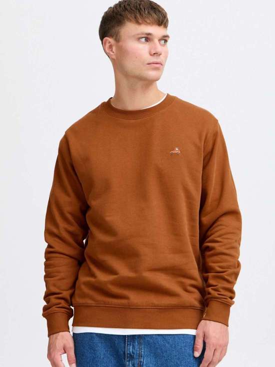 коричневый разноцветный