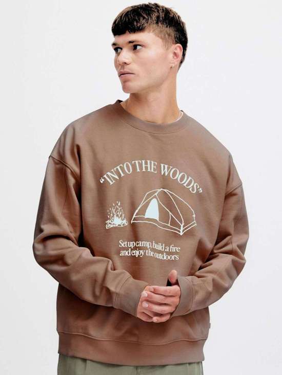 коричневый разноцветный