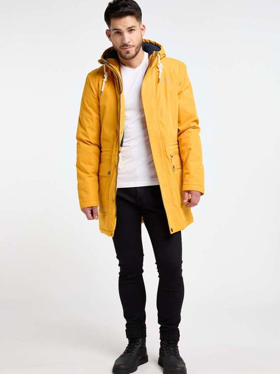 цв.кукурузы