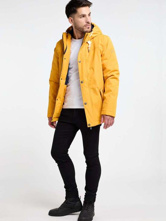 цв.кукурузы