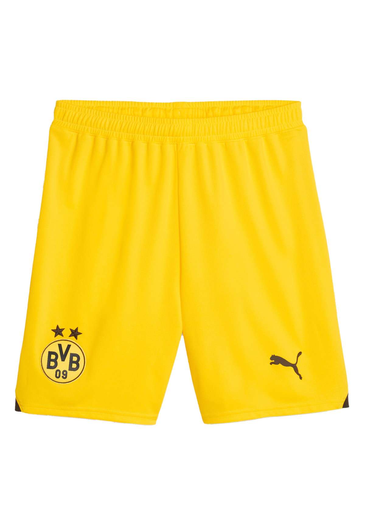 REPLICAS NATIONAL BVB DORTMUND 2023/2024 - Nationalmannschaft