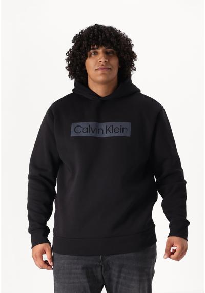 Кофта BOX STRIPED LOGO HOODIE