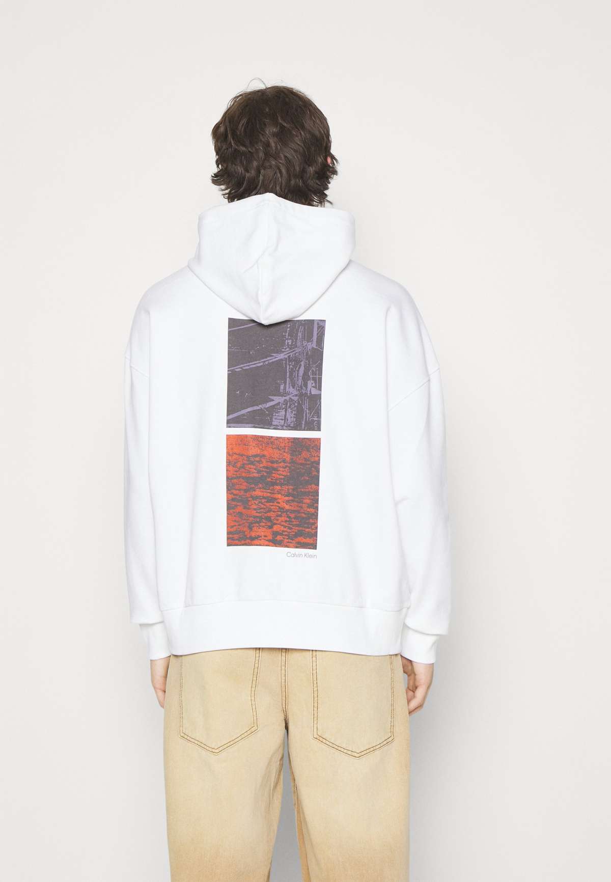 Кофта PHOTO BACK HOODIE