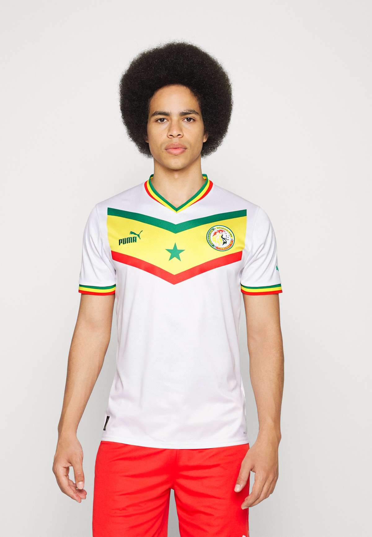 Футболка SENEGAL HOME REPLICA